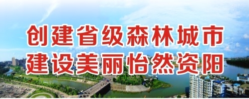 欧美舔逼网址创建省级森林城市 建设美丽怡然资阳